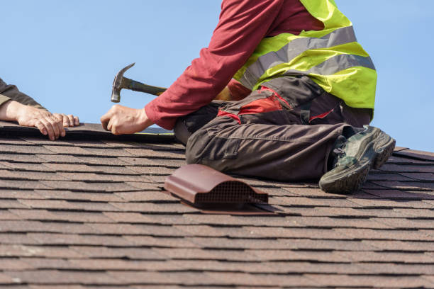 Best Flat Roof Repair Services  in Rainelle, WV