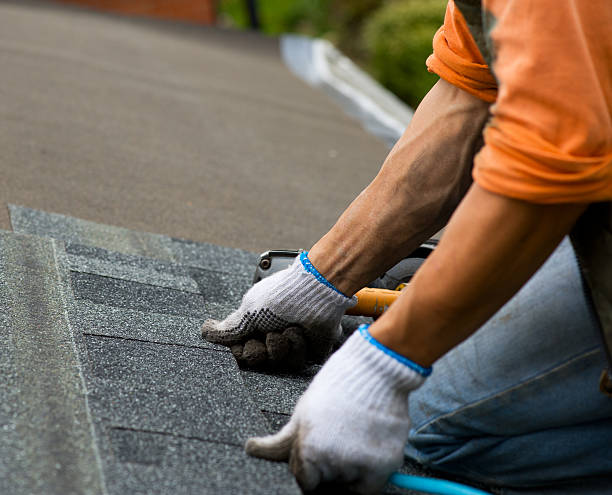 Gutter Installation and Roofing in Rainelle, WV